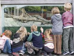 Students at a zoo looking into an animal enclosure